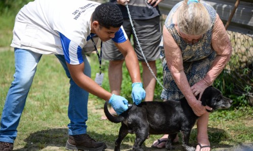 Barra Mansa leva vacinação antirrábica aos distritos da cidade